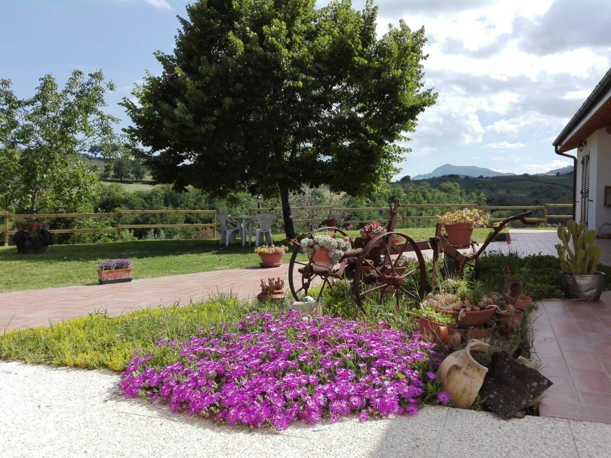 Masseria Spadone Βίλα Civitella Casanova Εξωτερικό φωτογραφία